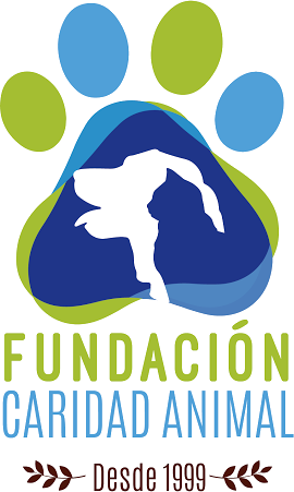 Fundación Caridad Animal